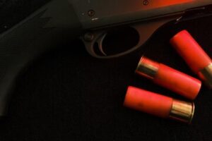 pozwolenie na broń w 6 krokach - strzelba